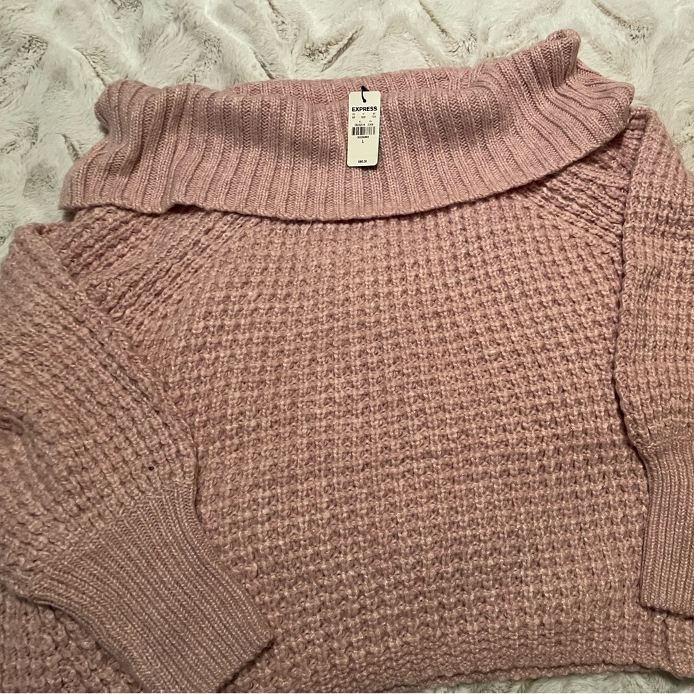 Express Mauve off the shoulder Sweater